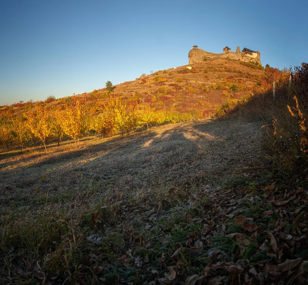 Famous Medieval Castle Boldogko Hungary Autumn — 图库照片