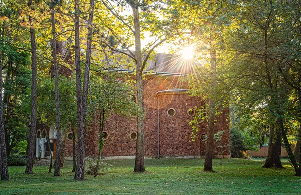 Nice Temple Hungary Autumn — Stock fotografie