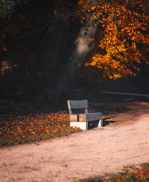 Nice Street Budapest Autumn — Fotografia de Stock