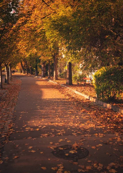 Nice Street Budapest Autumn — Φωτογραφία Αρχείου