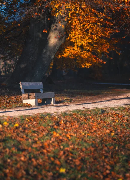 Nice Street Budapest Autumn — Stockfoto