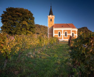 Macaristan 'ın Hegymagas kentindeki ünlü Lengyel Şapeli