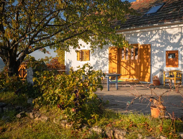 Hegymagas Ungarn Oktober 2021 Typische Häuser Hegymagas Plattensee Ungarn — Stockfoto