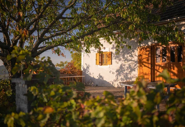 Hegymagas Hungary October 2021 Typical Houses Hegymagas Close Lake Balaton — Stock Photo, Image