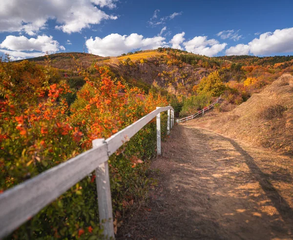 Wonderful Vineyards Tokaj Autumn — Fotografia de Stock