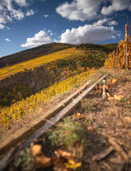 Wonderful Vineyards Tokaj Autumn — Fotografia de Stock