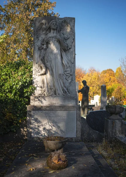 Cmentarz Jesienią Słoneczny Dzień — Zdjęcie stockowe