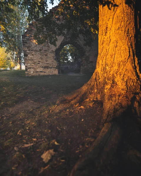 Medieval Ruin Temple Lake Balaton Hungary — Stock Photo, Image