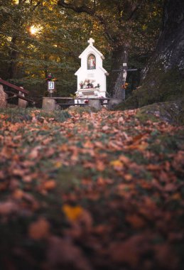 Sonbaharda Mtra 'da güzel bir hac alanı.