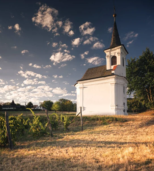 Schöne Alte Weiße Kapelle Mit Weinbergen Bei Balatonlelle — Stockfoto