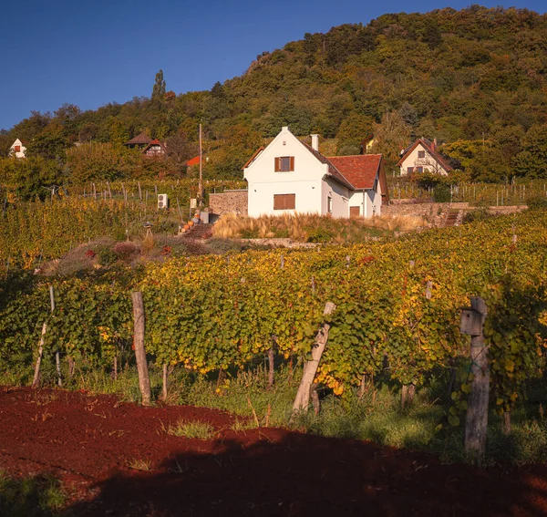 Hegymagas Hungary October 2021 Typical Houses Hegymagas Close Lake Balaton — Stock Photo, Image