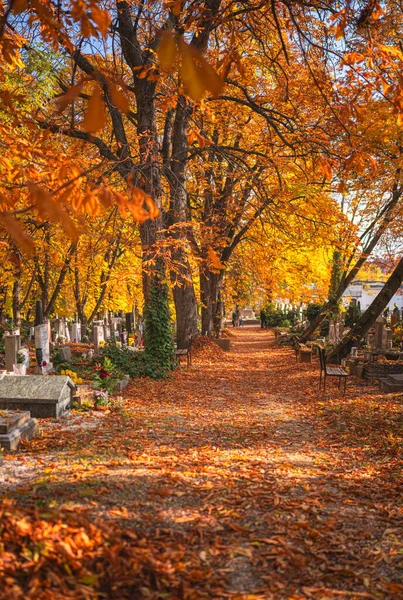 Mooie Begraafplaats Herfst Van Boedapest — Stockfoto