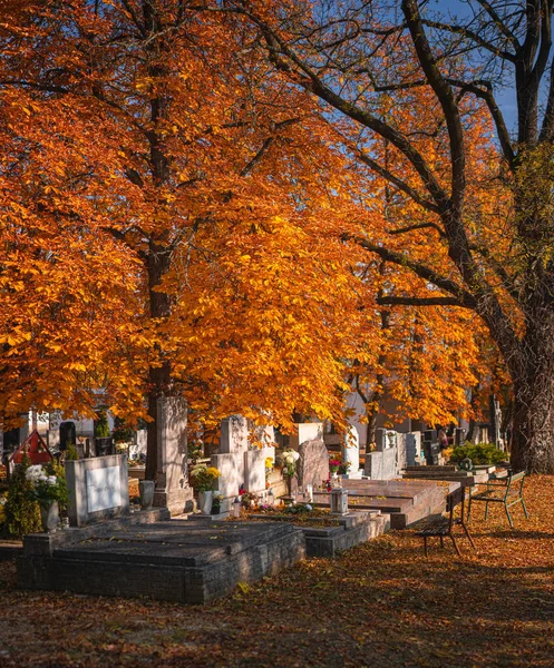 Mooie Begraafplaats Herfst Van Boedapest — Stockfoto