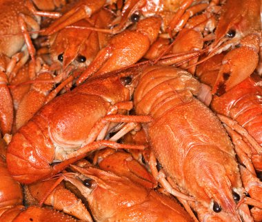 sıcak taze haşlanmış kırmızı kerevit