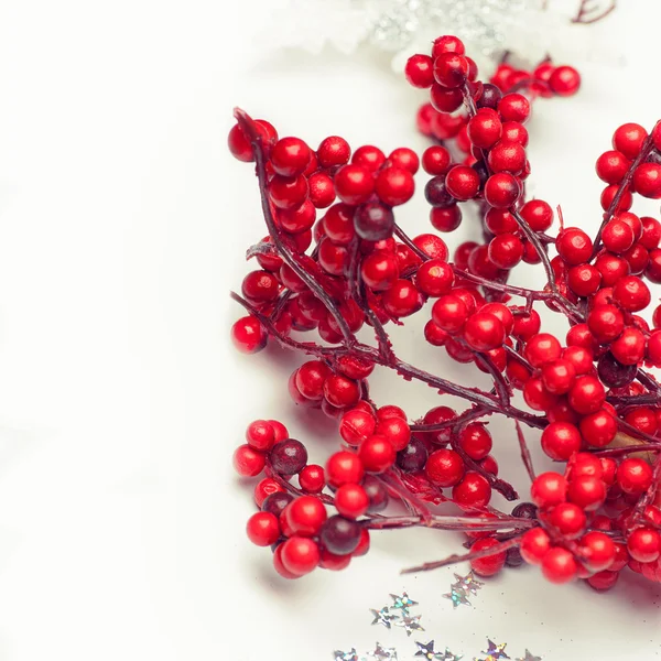 kırmızı dut dalları