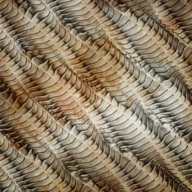 Soyut grunge arkaplanı