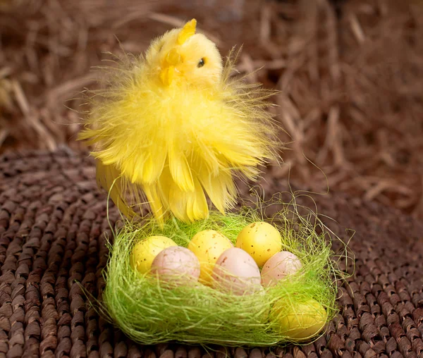 Pintainho e ovos no ninho — Fotografia de Stock