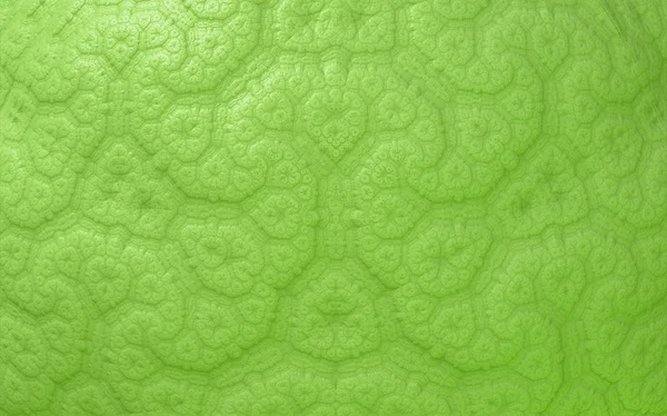 Grüne abstrakte nahtlose Muster — Stockfoto