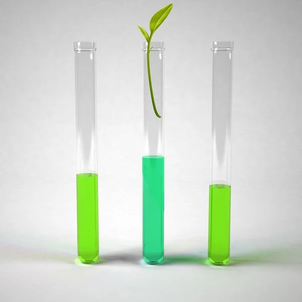 Sprouts in test tubes — Stock Photo, Image