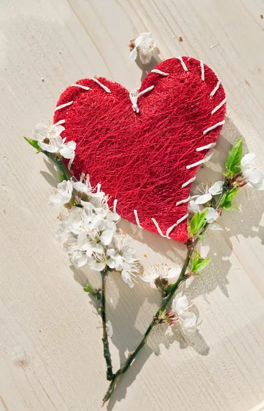 Fleurs printanières et coeur rouge sur table en bois — Photo