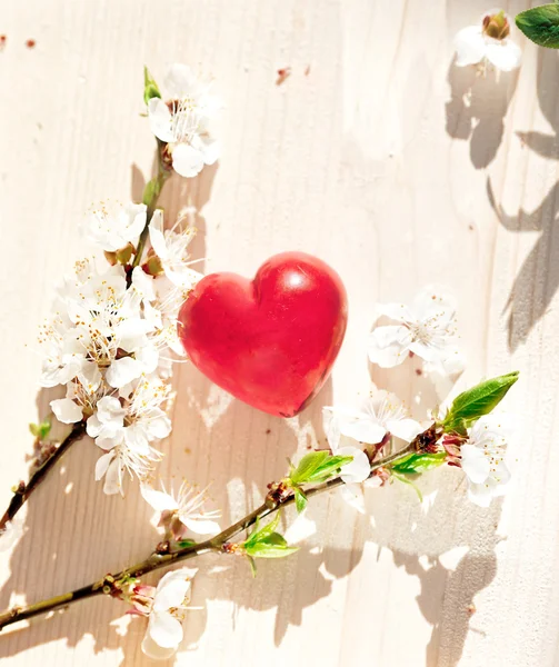 Spring flowers and red heart candle on wooden table — Stock Photo, Image