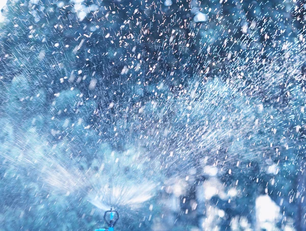 Water spraying from a lawn sprinkler — Stock Photo, Image