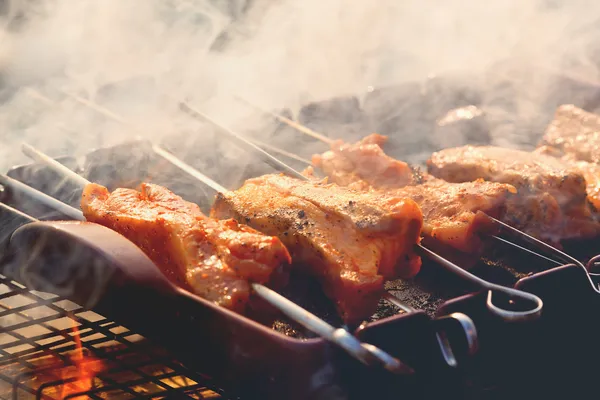 Barbacoa en la parrilla — Foto de Stock