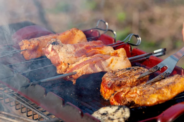 Barbacoa en la parrilla — Foto de Stock