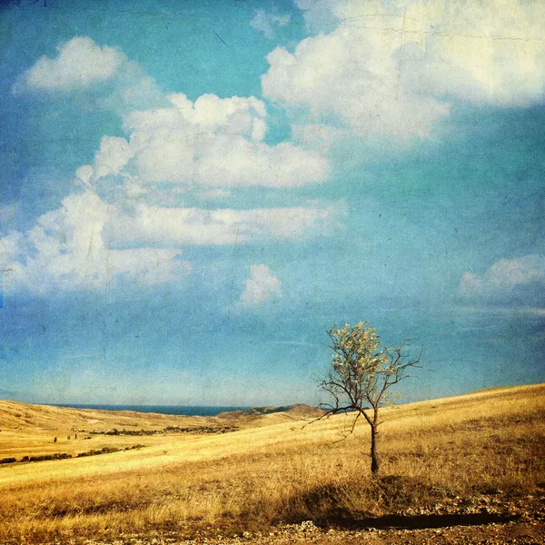 Tree and grassland - retro style picture — Stock Photo, Image