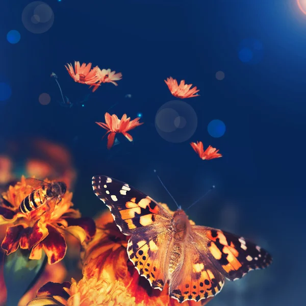 Schmetterlingsmonarchin — Stockfoto