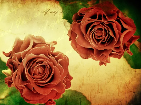 Grunge background with roses — Stock Photo, Image