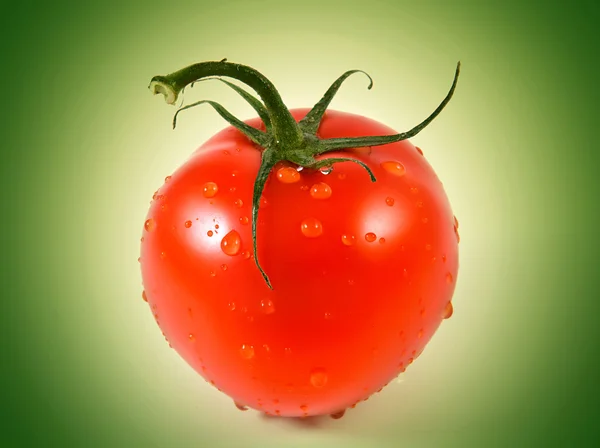 Červené rajče na zeleném pozadí — Stock fotografie