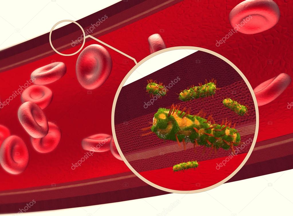 Blood cells flowing through veins