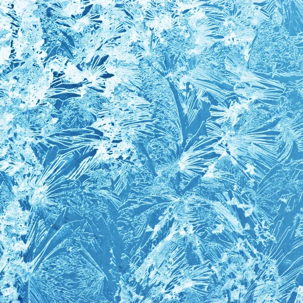 Frostiga mönster — Stockfoto