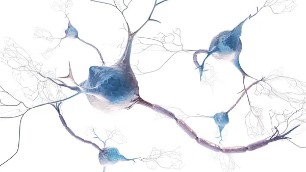 Stylized abstract background with neurons — Stock Photo, Image