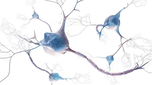 Стилизованный абстрактный фон с нейронами Стоковое Фото