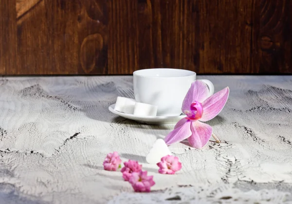 Orchidee Blume und Tasse — Stockfoto