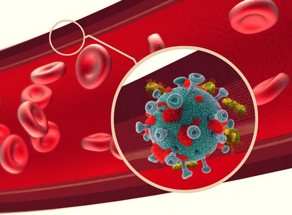 Menselijke bloedsomloop systeemconcept zoeken — Stok fotoğraf