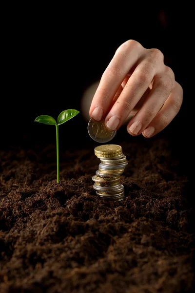 Hands with plant and money — Stock Photo, Image