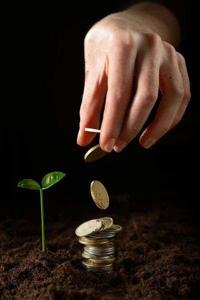 Hands with plant and money — Stock Photo, Image