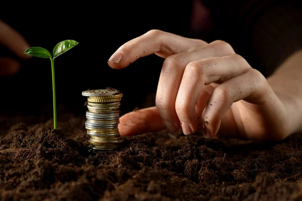 stock image Hands with plant and money