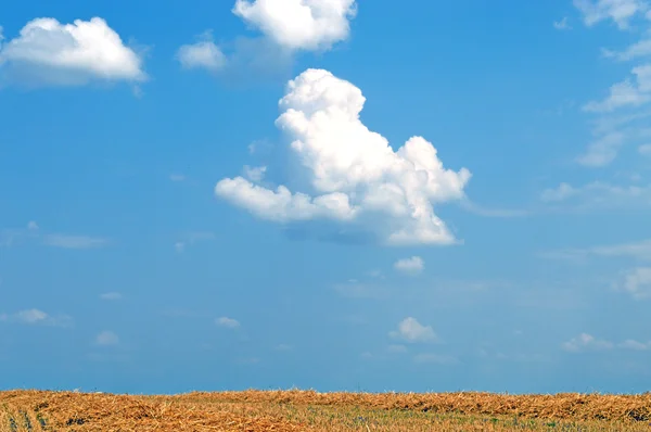 Hvit sky på blå himmel – stockfoto