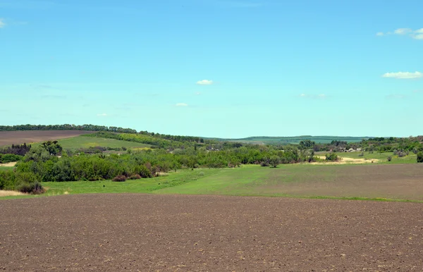 Frühlingslandschaft — Stockfoto