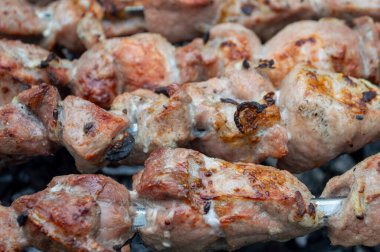fresh pieces of meat are fried on skewers in the grill