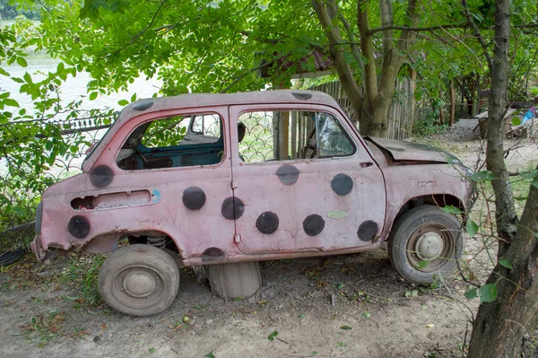 Old Rusty Pink Passenger Car Trees — Φωτογραφία Αρχείου