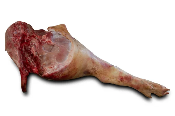 Pork Leg Tail Isolated White Background — Stock Photo, Image