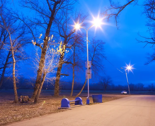 Nacht herfst bos — Stockfoto