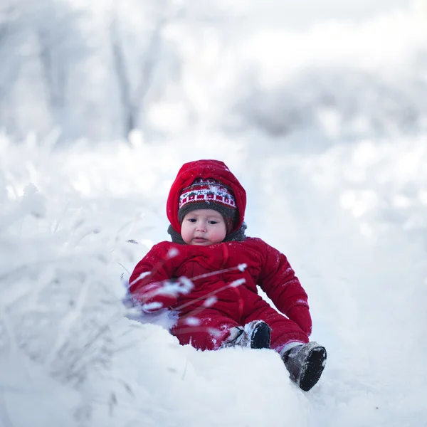 Familjen ha roligt i en snöig skog — Stockfoto