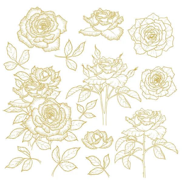 Conjunto de rosas delineadas de uma cor —  Vetores de Stock