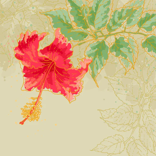 Fleur d'hibiscus sur fond tonique — Image vectorielle